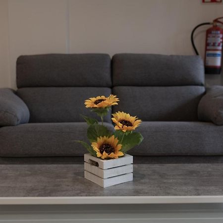 Loft En Zarauz Con Parking Hator 1 Εξωτερικό φωτογραφία